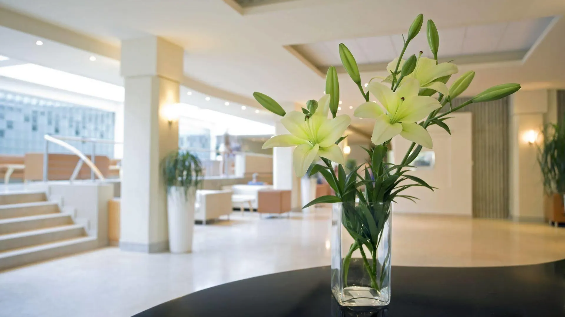 Valamar Diamant Residence Poreč Apartment